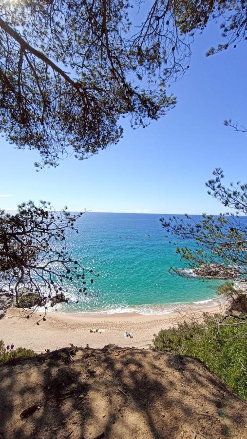 Daro Apartments Platja d'Aro Esterno foto
